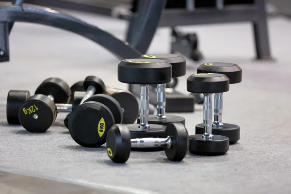 Sombrillas pesas alineadas en un gimnasio — Foto de Stock