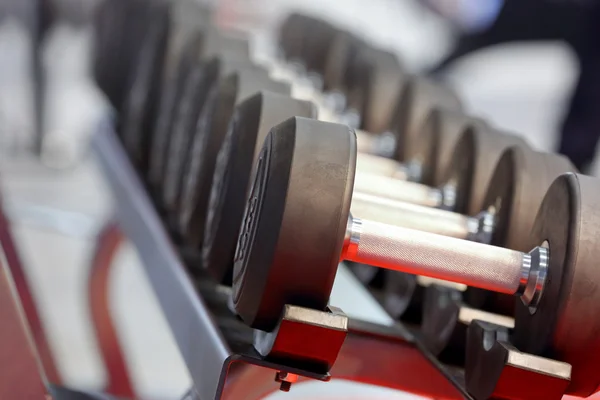 Halters gewichten opgesteld in een fitness-studio — Stockfoto