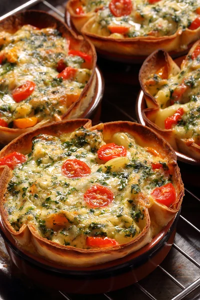 Casserole with cheese, spinach and tomatoes — Stock Photo, Image