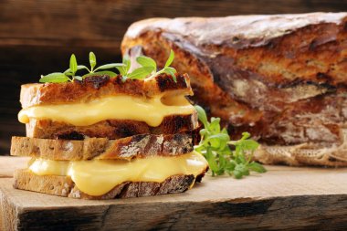 Peynir ve otlar ile taze sandviç