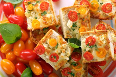 Peynir ve domates ile taze sağlıklı vejetaryen sandviç