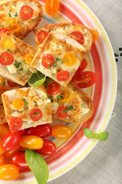 Peynir ve domates ile taze sağlıklı vejetaryen sandviç