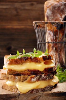 Peynir ve otlar ile taze sandviç