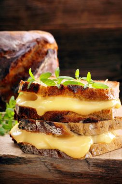 Peynir ve otlar ile taze sandviç