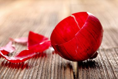 Metin için yer ahşap zemin üzerine kırmızı soğan boş cilt