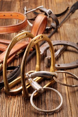 Ahşap arka plan üzerinde at ekipman kümesi