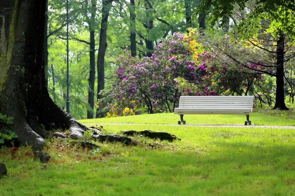 Banc blanc vide dans le parc — Photo