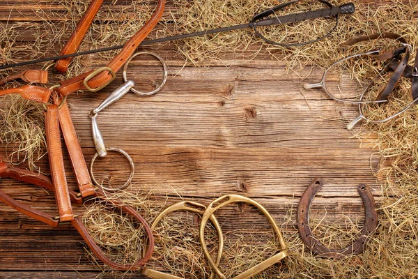 Conjunto de equipamiento para caballos sobre fondo de madera — Foto de Stock