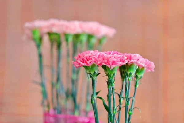 Flores decorativas con espacio vacío para texto — Foto de Stock