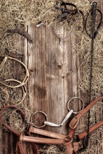 Set de equipamiento vintage caballo sobre fondo de madera — Foto de Stock