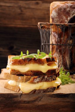 Peynir ve otlar ile taze sandviç