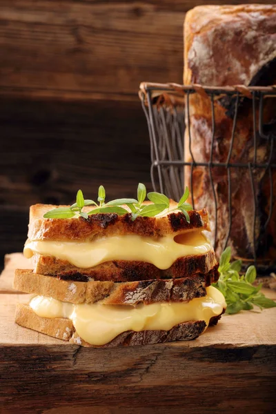 Peynir ve otlar ile taze sandviç