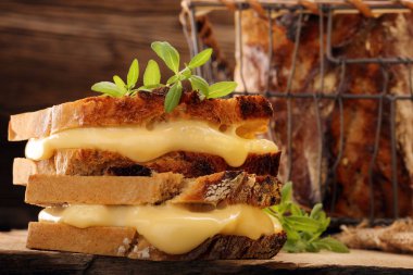 Peynir ve otlar ile taze sandviç