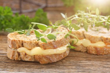 Peynir ve otlar ile taze sandviç