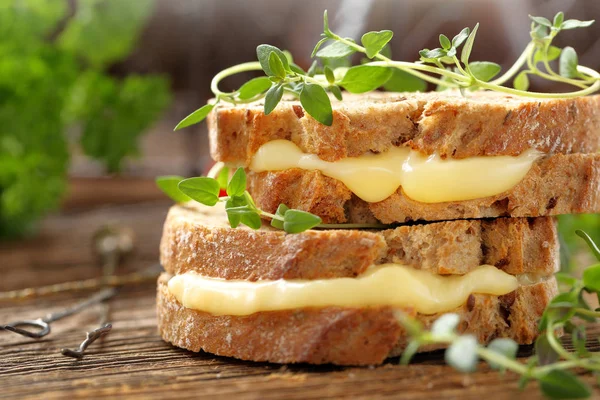Peynir ve otlar ile taze sandviç