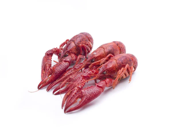 Three crab red — Stock Photo, Image