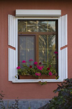 Çiçekli güzel pencere
