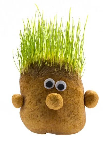 Zöld élő haj játék burgonyával — Stock Fotó