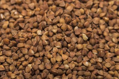 Karabuğday parlak kökenli