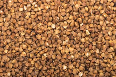 Karabuğday parlak kökenli