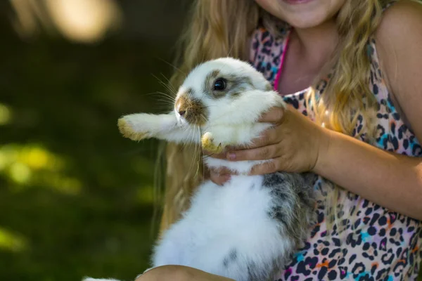 Conejo en hierba verde con niño pequeño y conejos en el backgr —  Fotos de Stock