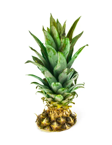 スライスしたパイナップルと白い背景の上の葉 — ストック写真