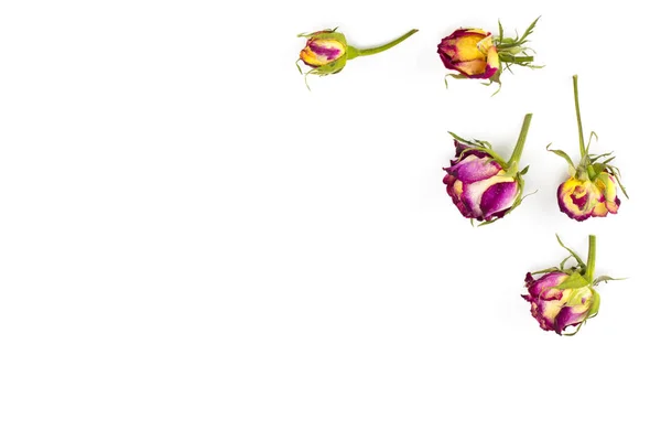 Marco redondo patrón de corona con rosas, capullos de flores, ramas y — Foto de Stock