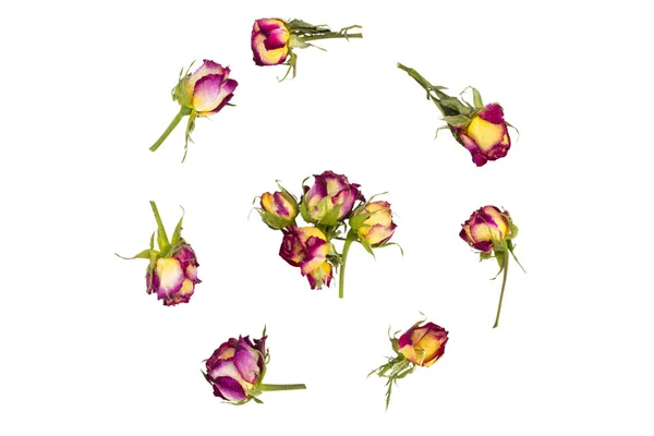 Marco redondo patrón de corona con rosas, capullos de flores, ramas y — Foto de Stock