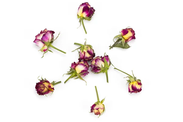 Composición de flores. Marco hecho de flores de rosas secas. Puesta plana , — Foto de Stock