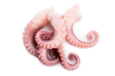Beyaz arka plan üzerinde izole ahtapot tentacles