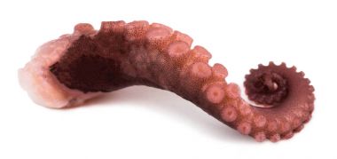 Beyaz arka plan üzerinde izole ahtapot tentacles