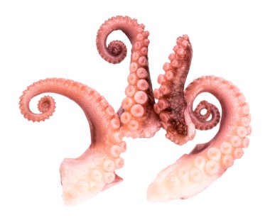Beyaz arka plan üzerinde izole ahtapot tentacles