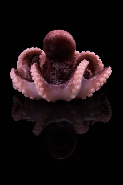 Kleine octopus geïsoleerd op zwarte achtergrond. Met uitknippad — Stockfoto