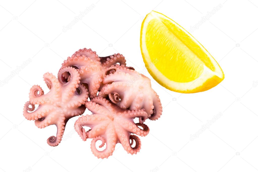 Marinated baby octopus with lemon on white background