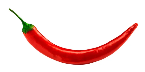 Peperoncino rosso caldo isolato su fondo bianco — Foto Stock