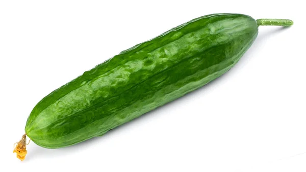 Cucumber isolated on white background. With clipping path — Stock Photo, Image