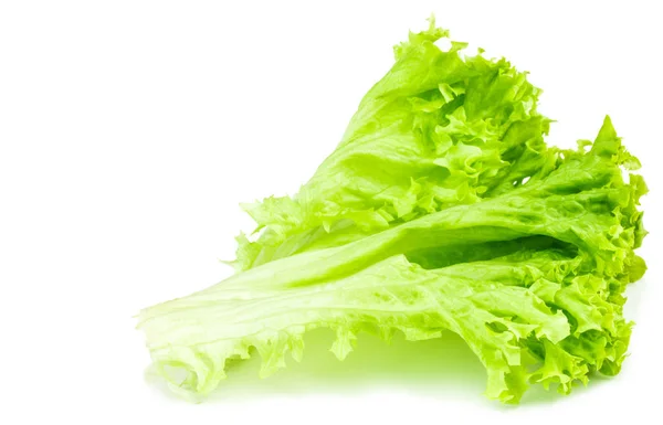 Leaf fresh lettuce isolated on white background — Stock Photo, Image