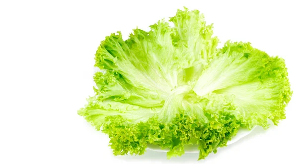 Leveles saláta fehér tányérra. Felülnézet. Elszigetelt — Stock Fotó