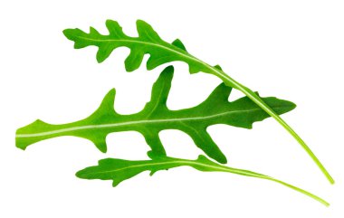 Taze roka yaprakları üzerinde izole beyaz arka plan