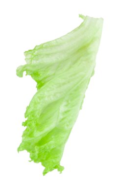 Salata yaprağı. Beyaz arka plan üzerinde izole marul. Kırpma ile 