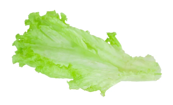 Salade blad. Sla geïsoleerd op een witte achtergrond. Met knippen — Stockfoto