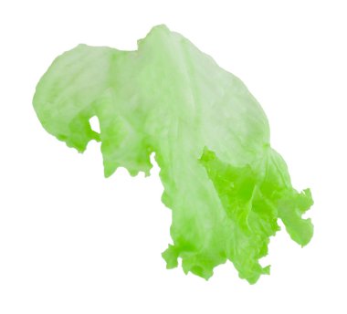 Salata yaprağı. Beyaz arka plan üzerinde izole marul. Kırpma ile 