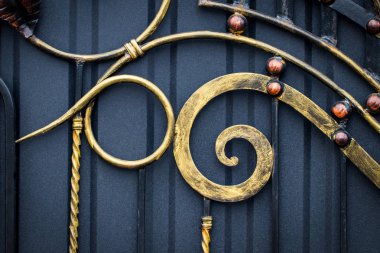 Bilgi, yapısı ve süs Dövme demir kapısı. Çiçek Aralık