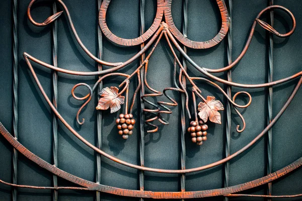 詳細、構造および鍛造鉄門の装飾品。花 12 月 — ストック写真