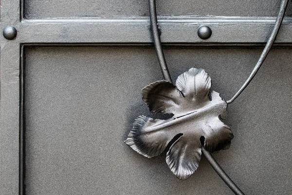 Detalhes, estrutura e ornamentos de portão de ferro forjado. Décimo floral — Fotografia de Stock