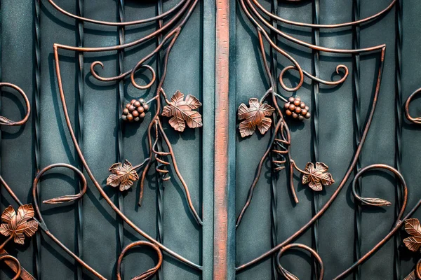 Detaljer, struktur och ornament av smidd järngrind. Blommig dec — Stockfoto