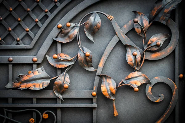 Detaljer, struktur och ornament av smidd järngrind. Blommig dec — Stockfoto