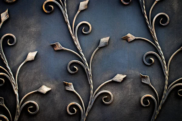 Деталі, структура та прикраси кованих залізних воріт. Квітковий декор — стокове фото