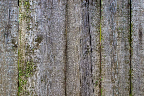 Nahaufnahme von alten Holzplanken Textur Hintergrund — Stockfoto