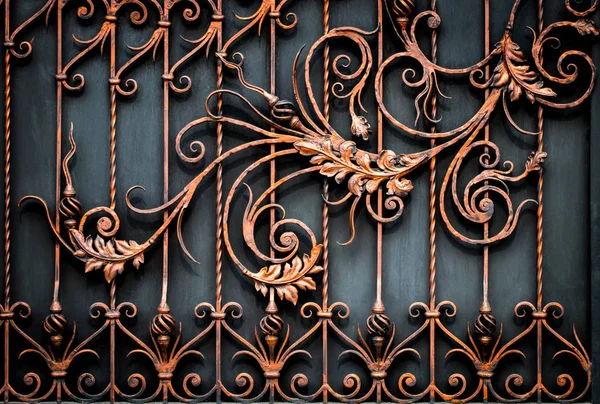 Detalhes, estrutura e ornamentos de portão de ferro forjado. Décimo floral — Fotografia de Stock